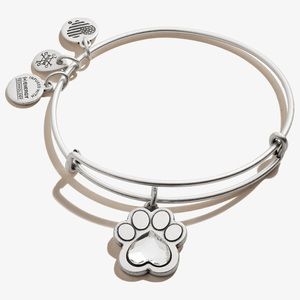 NWT Alex and Ani Paw Bracelet